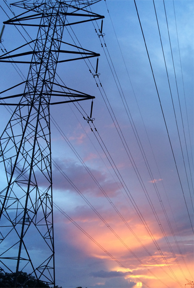 来利国际app(中国)官方正版_最给力的老牌